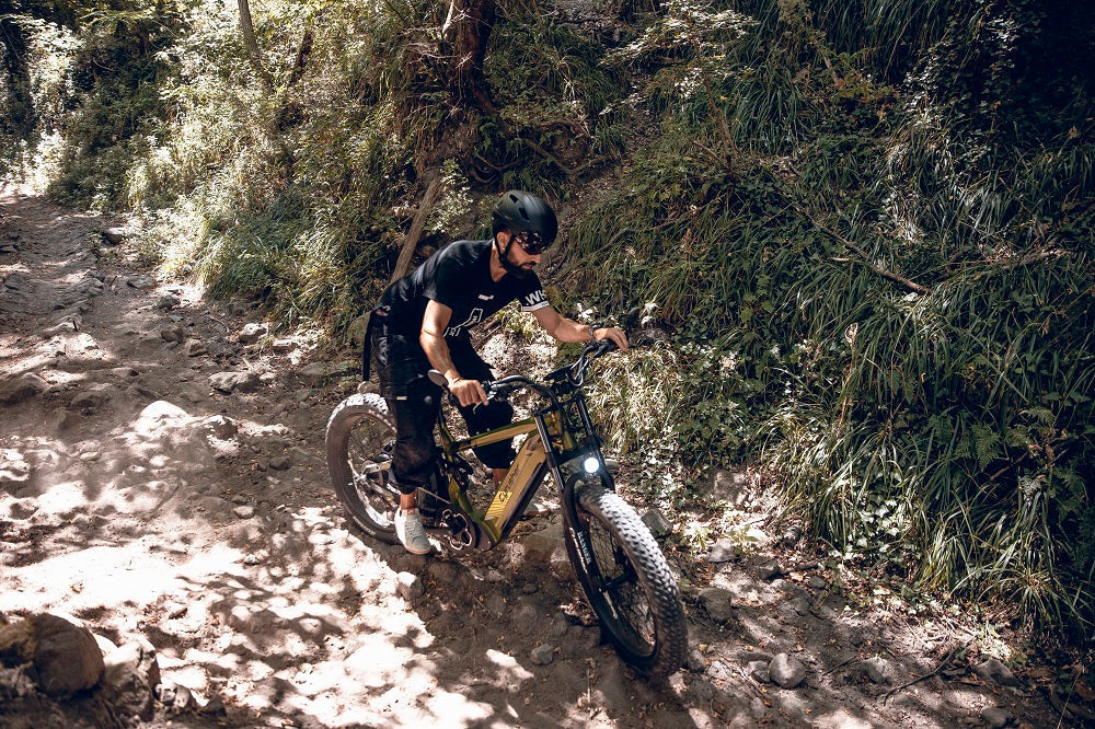 Quel est le couple d'un vélo électrique