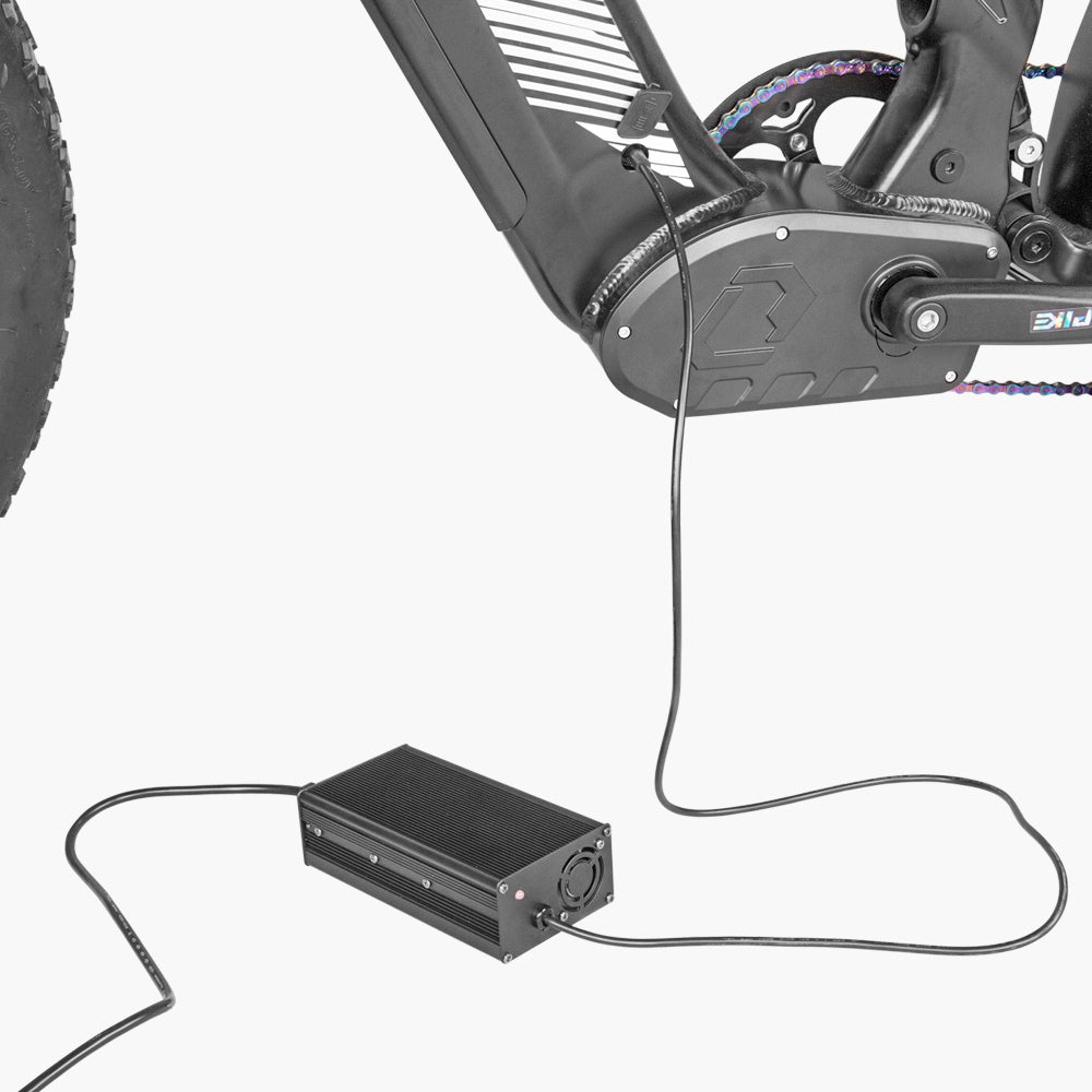 Chargeur rapide 52V 5A pour Ovia & Ranger1.0&2.0 & Trax1.0&2.0