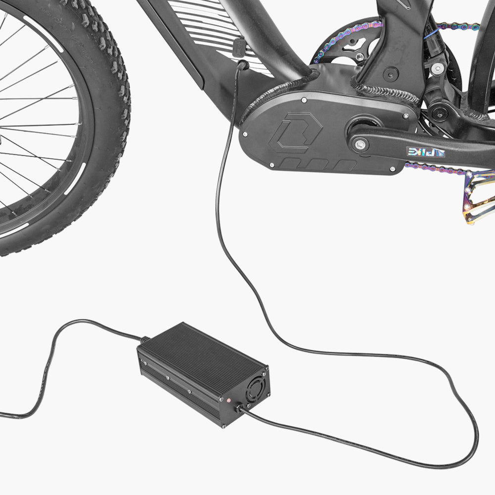 Chargeur rapide 52V 5A pour Ovia & Ranger1.0&2.0 & Trax1.0&2.0