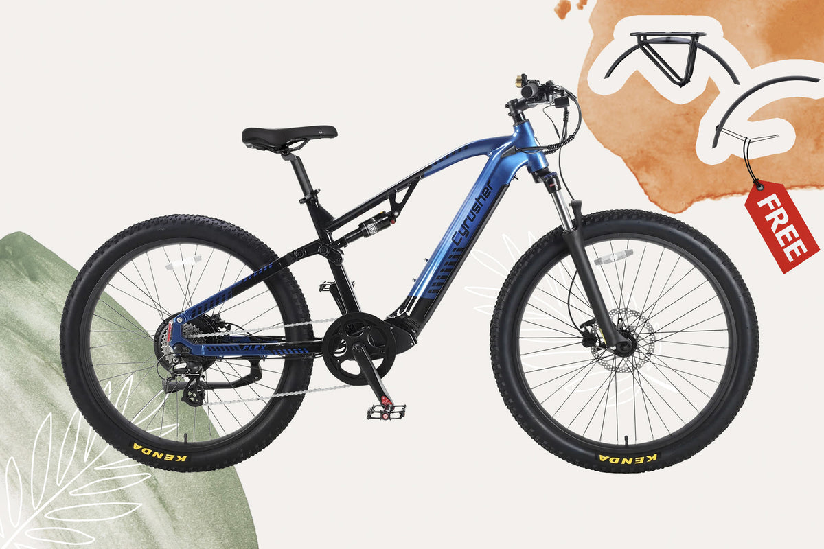 Flex + Kit de garde-boue et porte bagage