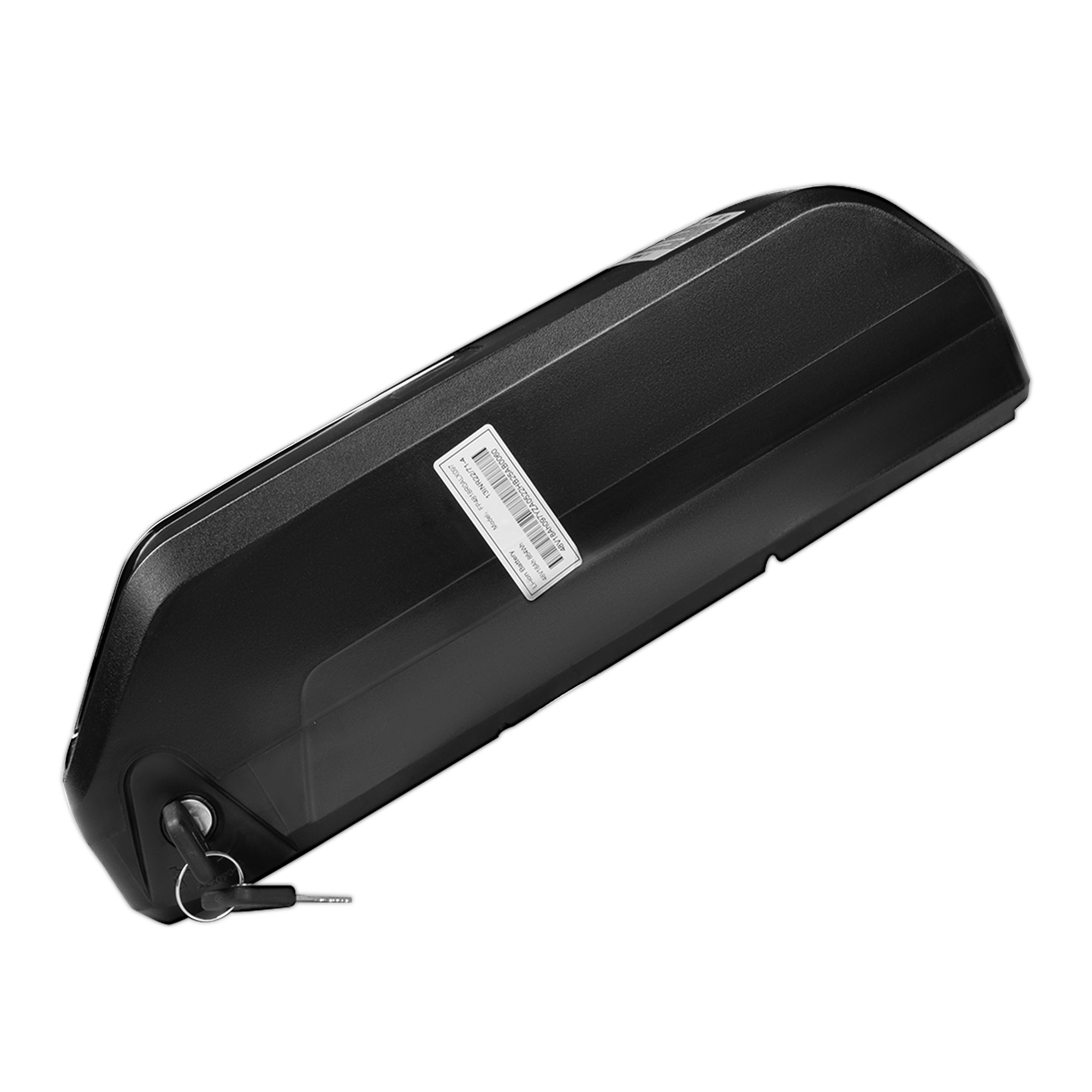 48V18Ah Batterie pour Rumble 1.0