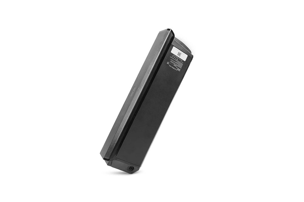 Batterie 52V 20Ah pour Ranger/Trax/Rover/Roam/Glider