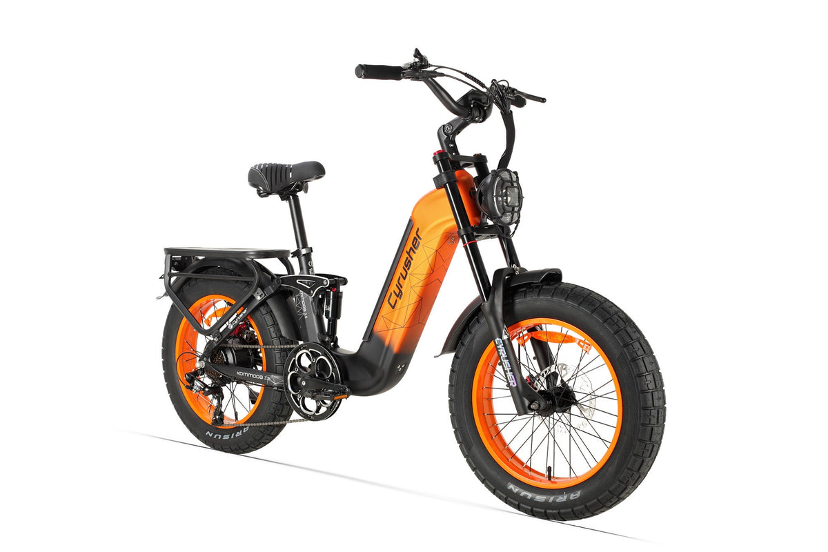 Vélo Électrique FREEDARE Eden - Moteur Bafang 250W, Batterie 48V 20Ah, Autonomie 150km, Pneus Fat 26x4, GPS, App Smart