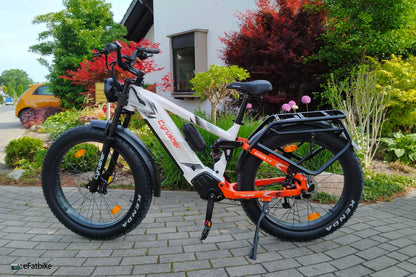 Ensemble garde-boue et porte-bagages pour Rover/Roam/Ranger2.0/Trax2.0