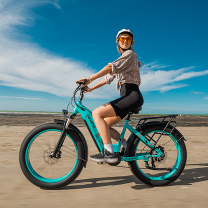 Cyrusher Kuattro, Vélos électriques