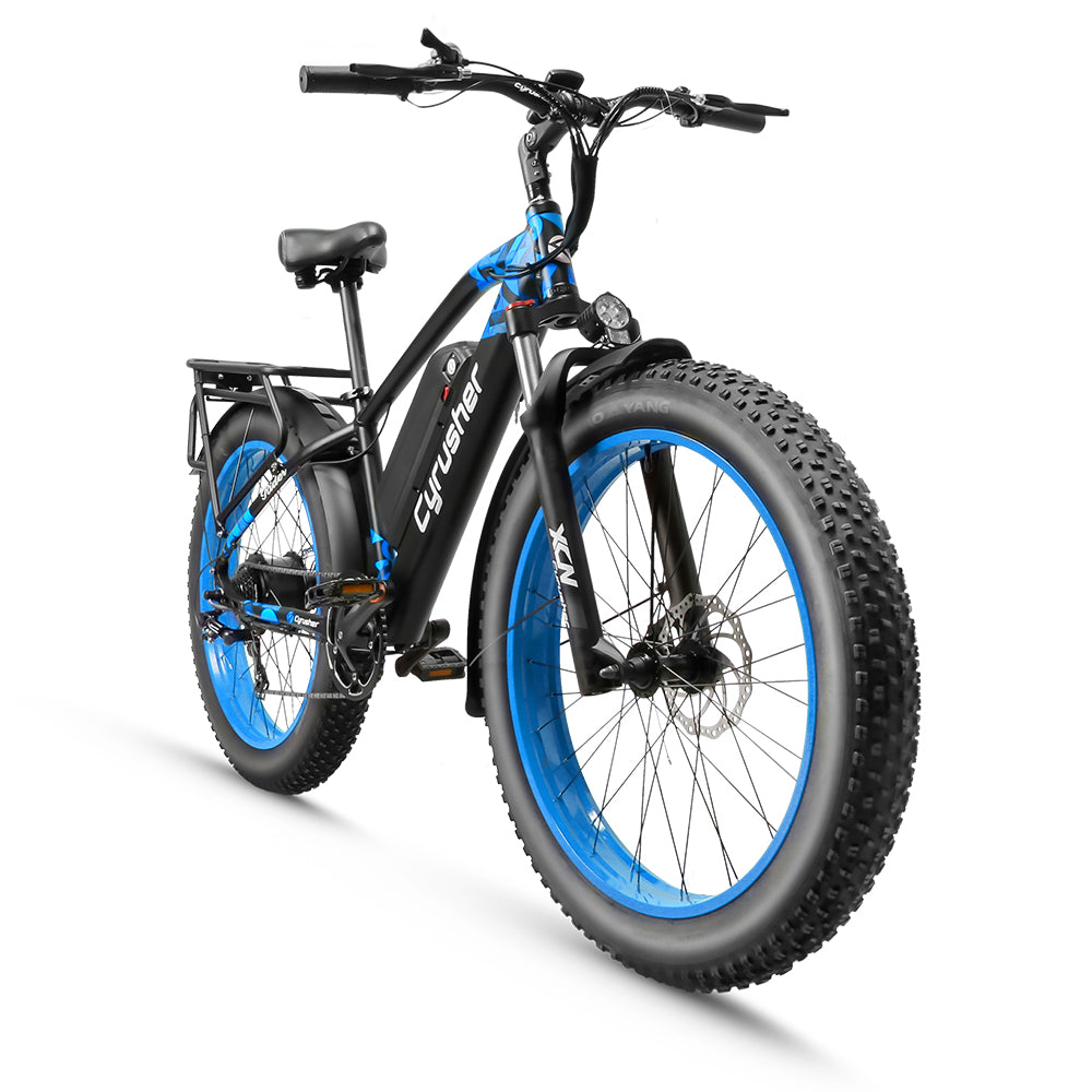 XF650 Gros Pneu Ebike(Rider)