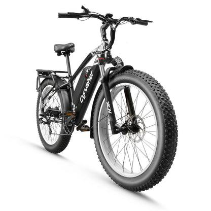 XF650 Gros Pneu Ebike(Rider)